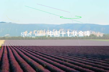 南平中国十七块金牌