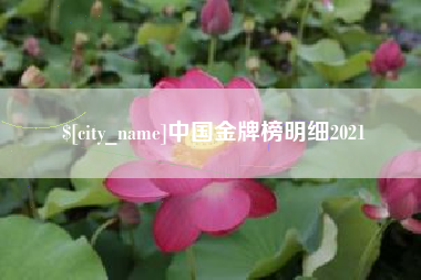 南平中国金牌榜明细2021