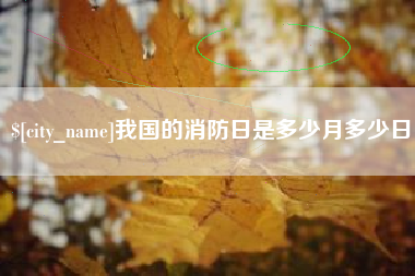南平我国的消防日是多少月多少日