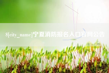 南平宁夏消防报名入口官网公告