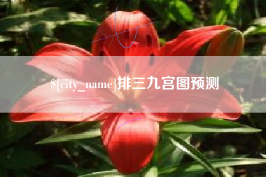 南平排三九宫图预测