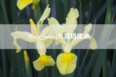 南平九宫格优点