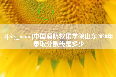 南平中国消防救援学院山东2020年录取分数线是多少