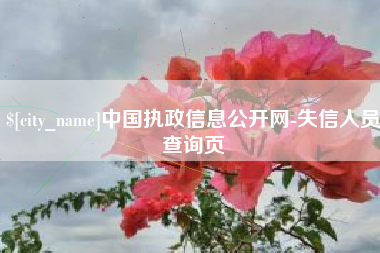 南平中国执政信息公开网-失信人员查询页