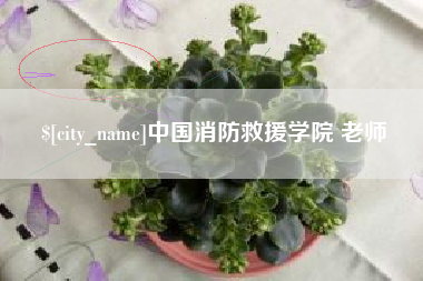 南平中国消防救援学院 老师