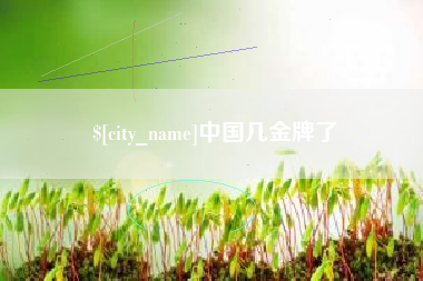 南平中国几金牌了