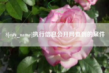 南平执行信息公开网查到的案件