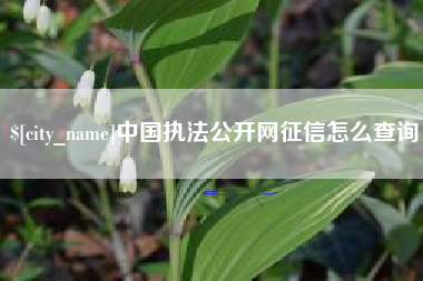 南平中国执法公开网征信怎么查询