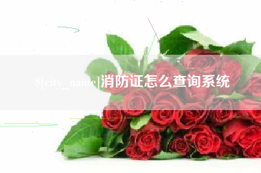 南平消防证怎么查询系统