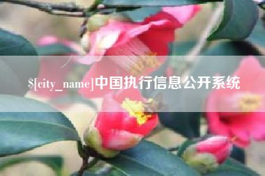 南平中国执行信息公开系统