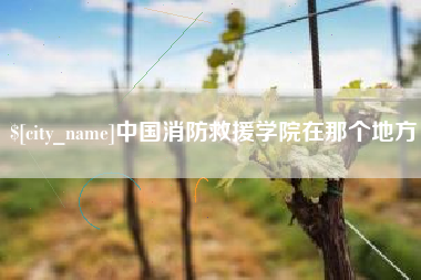 南平中国消防救援学院在那个地方