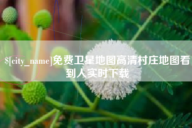 南平免费卫星地图高清村庄地图看到人实时下载