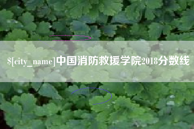 南平中国消防救援学院2018分数线