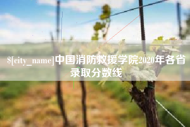 南平中国消防救援学院2020年各省录取分数线