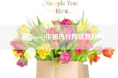 南平中国执行网信息官网 南平中国执行网信息官网