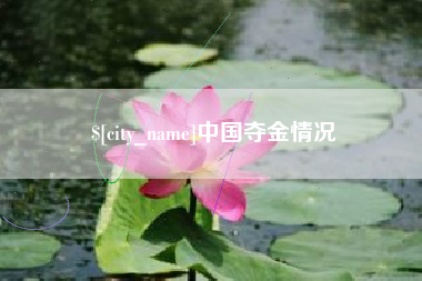 南平中国夺金情况