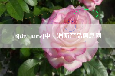 南平中囯消防产品信息网