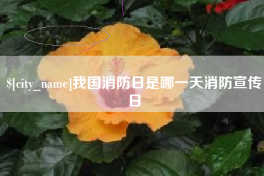 南平我国消防日是哪一天消防宣传日