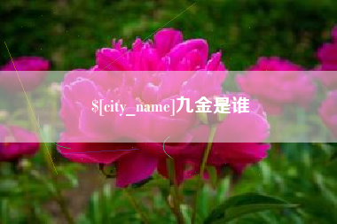 南平九金是谁