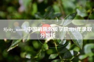 南平中国消防救援学院2019年录取分数线
