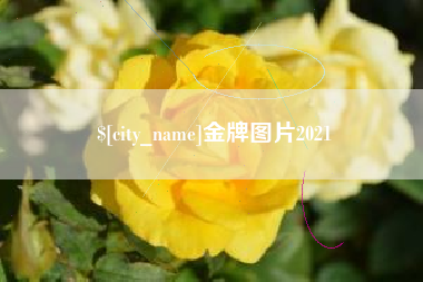 南平金牌图片2021