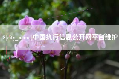 南平中国执行信息公开网平台维护