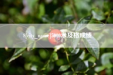 南平5000米及格成绩