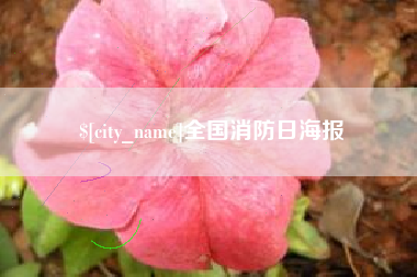 南平全国消防日海报