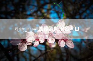 南平国家消防报名入口