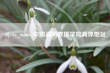 南平中国消防救援学院具体地址
