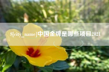 南平中国金牌是哪些项目2021