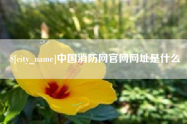 南平中国消防网官网网址是什么