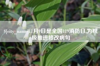 南平11月9日是全国119消防日,为积极推进修改病句