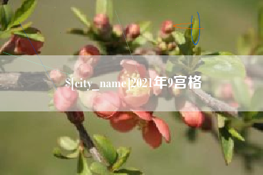 南平2021年9宫格