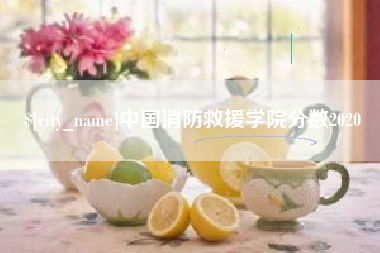 南平中国消防救援学院分数2020