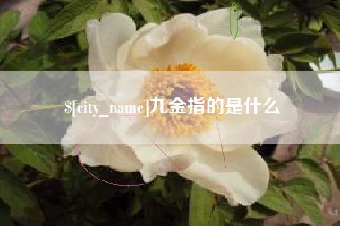南平九金指的是什么
