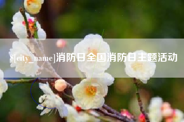南平消防日全国消防日主题活动