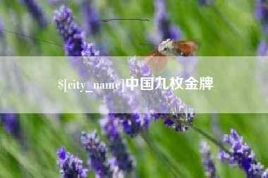 南平中国九枚金牌