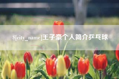 南平王子豪个人简介乒乓球