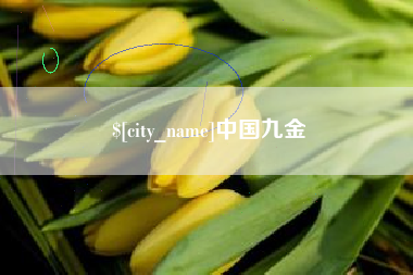 南平中国九金