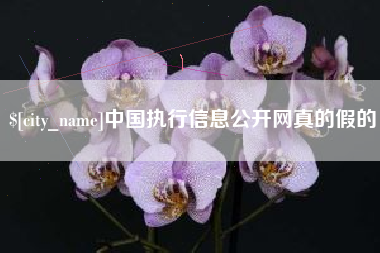 南平中国执行信息公开网真的假的