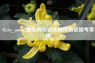 南平重庆消防设施操作员证报考条件