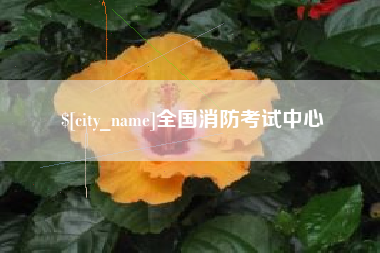南平全国消防考试中心