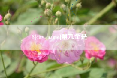 南平第九金是