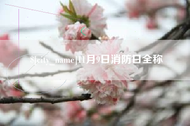 南平11月9日消防日全称