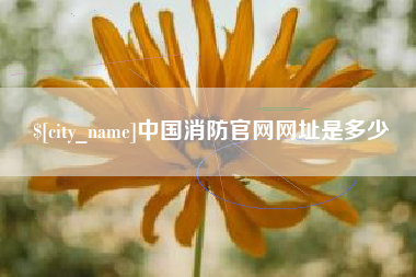 南平中国消防官网网址是多少