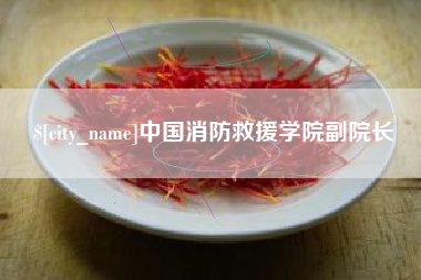 南平中国消防救援学院副院长