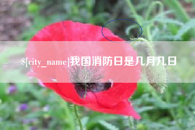 南平我国消防日是几月几日