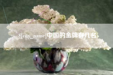 南平中国的金牌有几名
