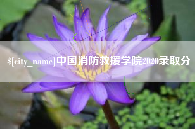 南平中国消防救援学院2020录取分